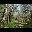 Ein Wanderweg hinter den Dünen